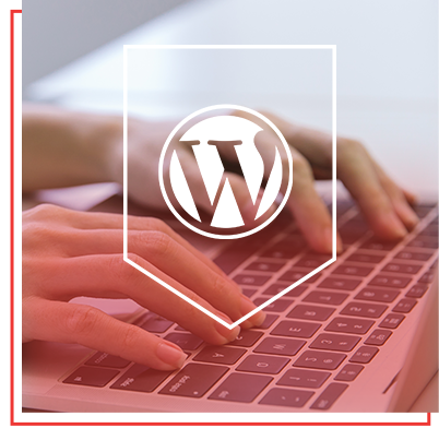 Criação de Site Profissional WordPress